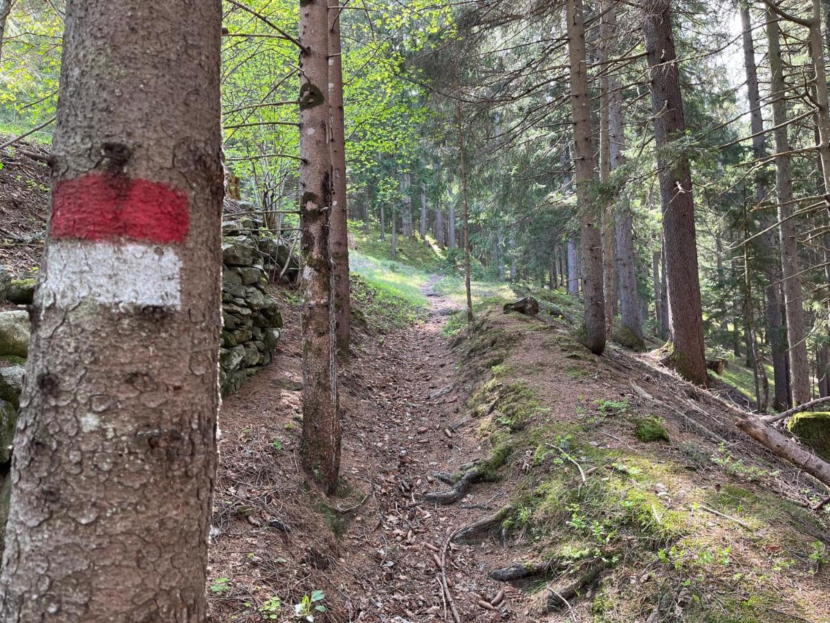Haus Seebach Mallnitz Zewnętrze zdjęcie